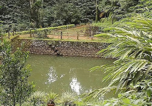 Resort Glenmore Munnar